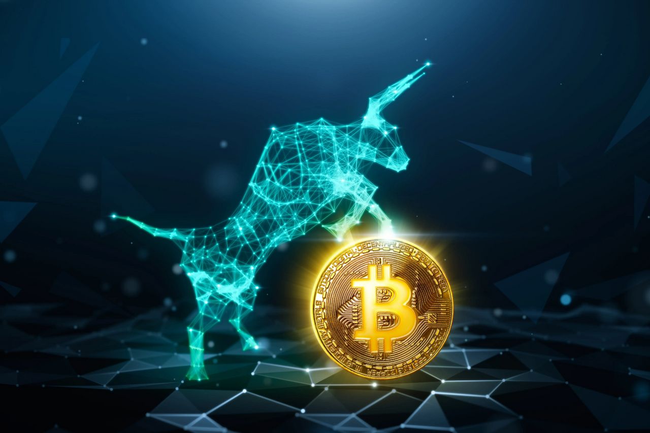 Crypto Agustus 2025: Bull Run Dimulai atau Koreksi Sementara?